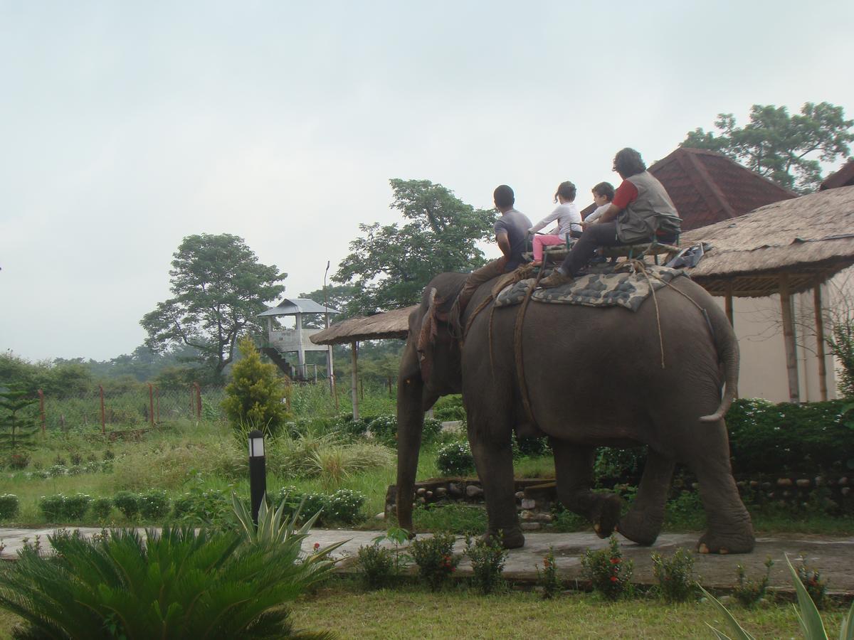 Musa Jungle Retreat Kumguri Bagian luar foto
